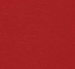 Rayon40
